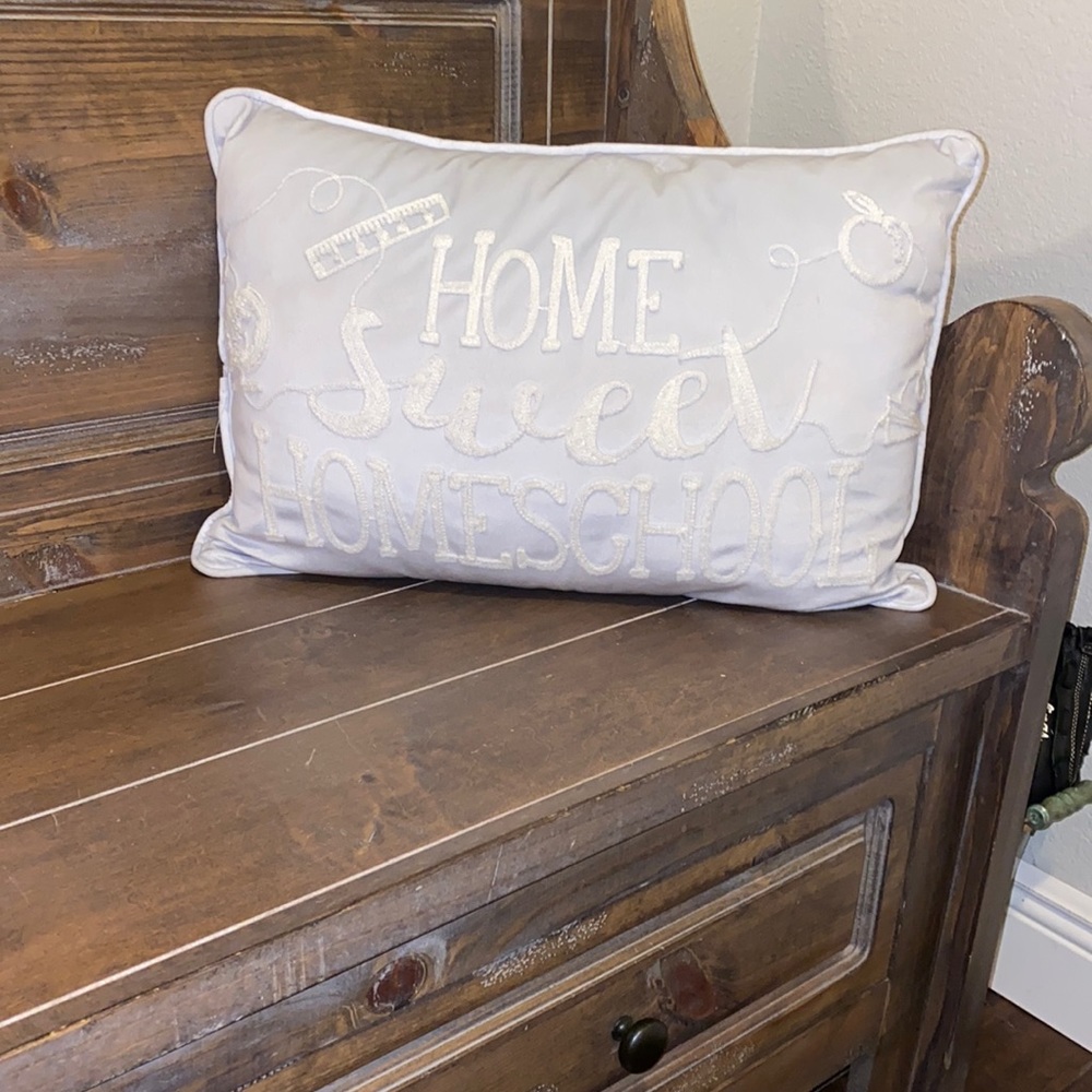 Cute! Light blue Homeschool Pillow